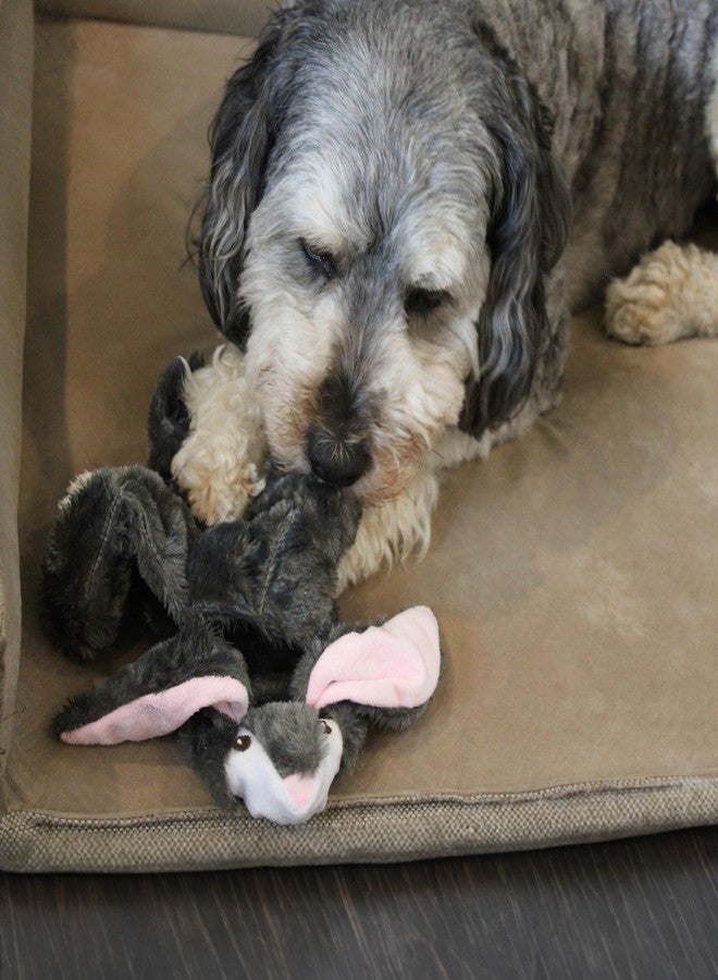 سبوت لعبة أرنب SPOT Skinneeez Tons-O-Squeakers للكلاب - مع 19 صفارة لمزيد من المرح! خالية من الحشو، مثالية للكلاب التي تمضغ بشكل معتدل، لعبة شد مناسبة للجراء والكلاب متوسطة وكبيرة الحجم - 20 بوصة، أشكال متنوعة - Image 3